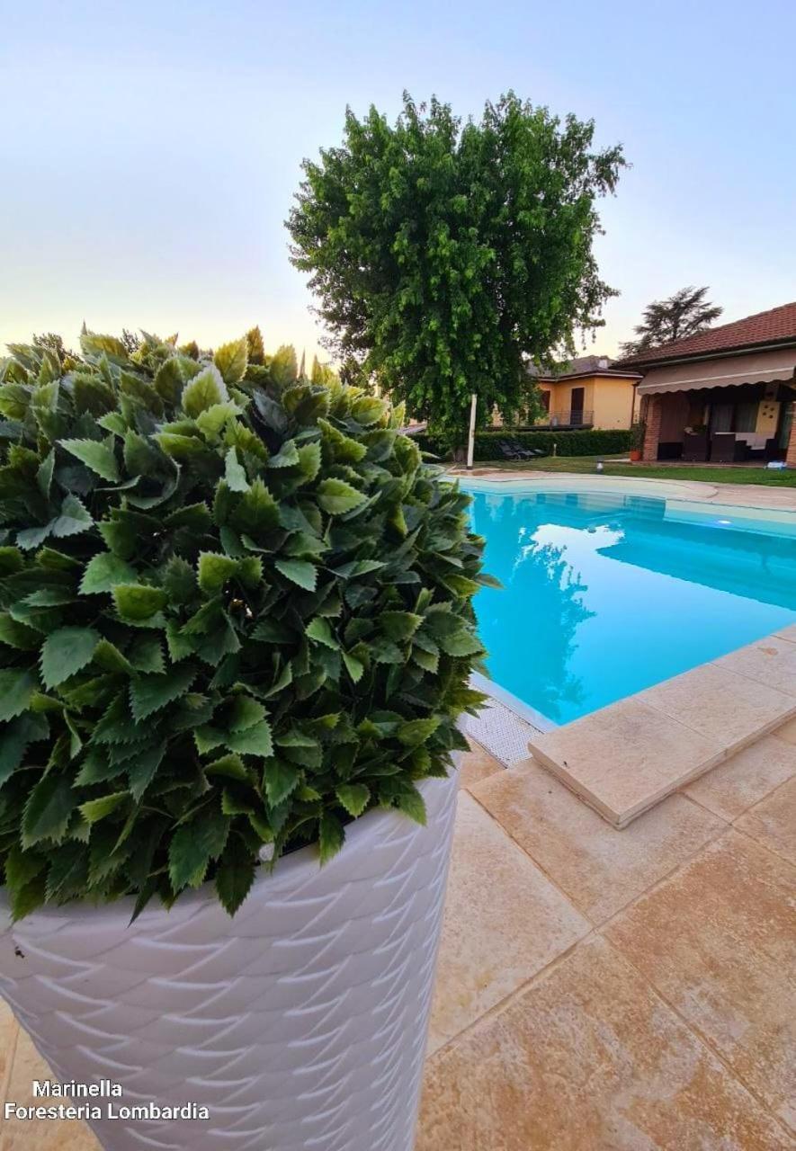 Cornale Marinella B&B المظهر الخارجي الصورة
