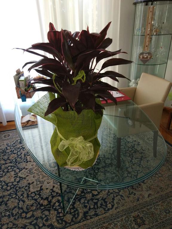 Cornale Marinella B&B المظهر الخارجي الصورة