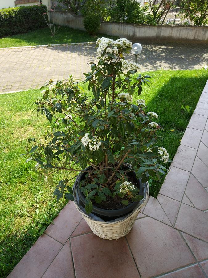 Cornale Marinella B&B المظهر الخارجي الصورة